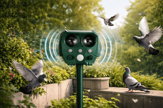 meilleurs répulsifs à ultrasons pour pigeons du marché 
