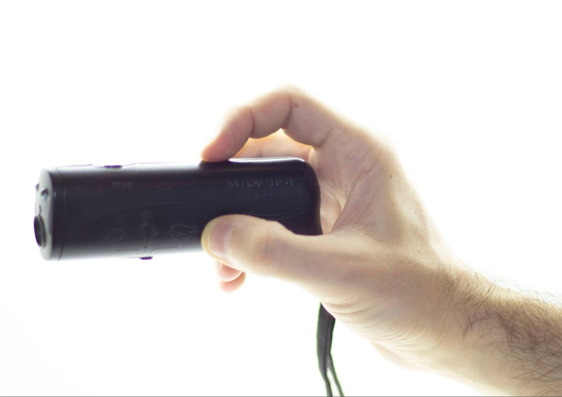 Top 10 des meilleurs répulsifs à ultrason pour chien