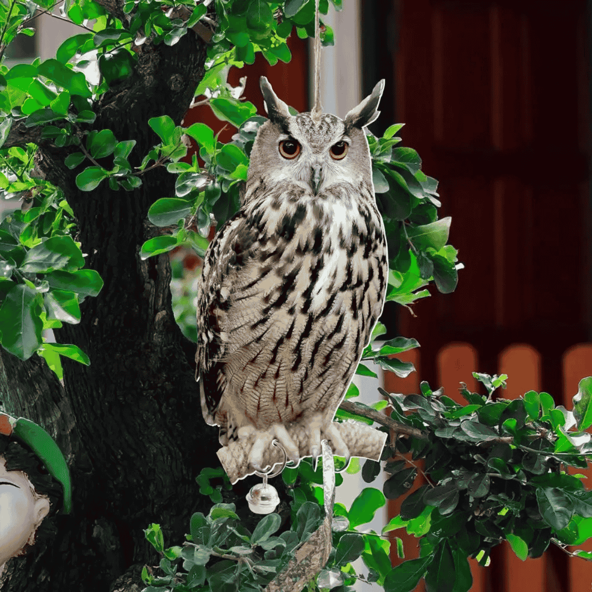 SilentOwl® - Effaroucheur Visuel Hibou Anti Pigeons et Oiseaux